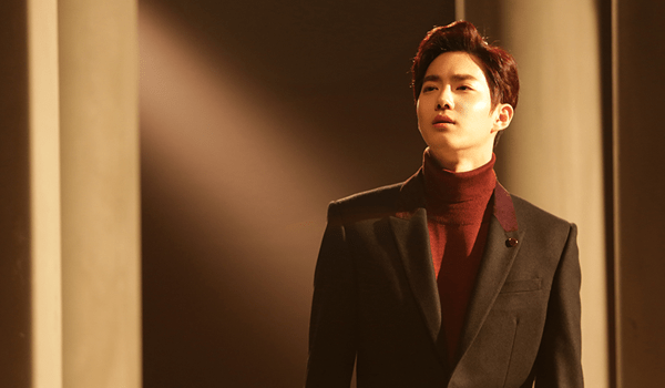 suho-curtain
