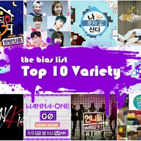 The Top 10 Korean Variety Shows of&nbsp;2017
